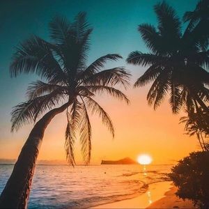 Meet your Posher, Mahina